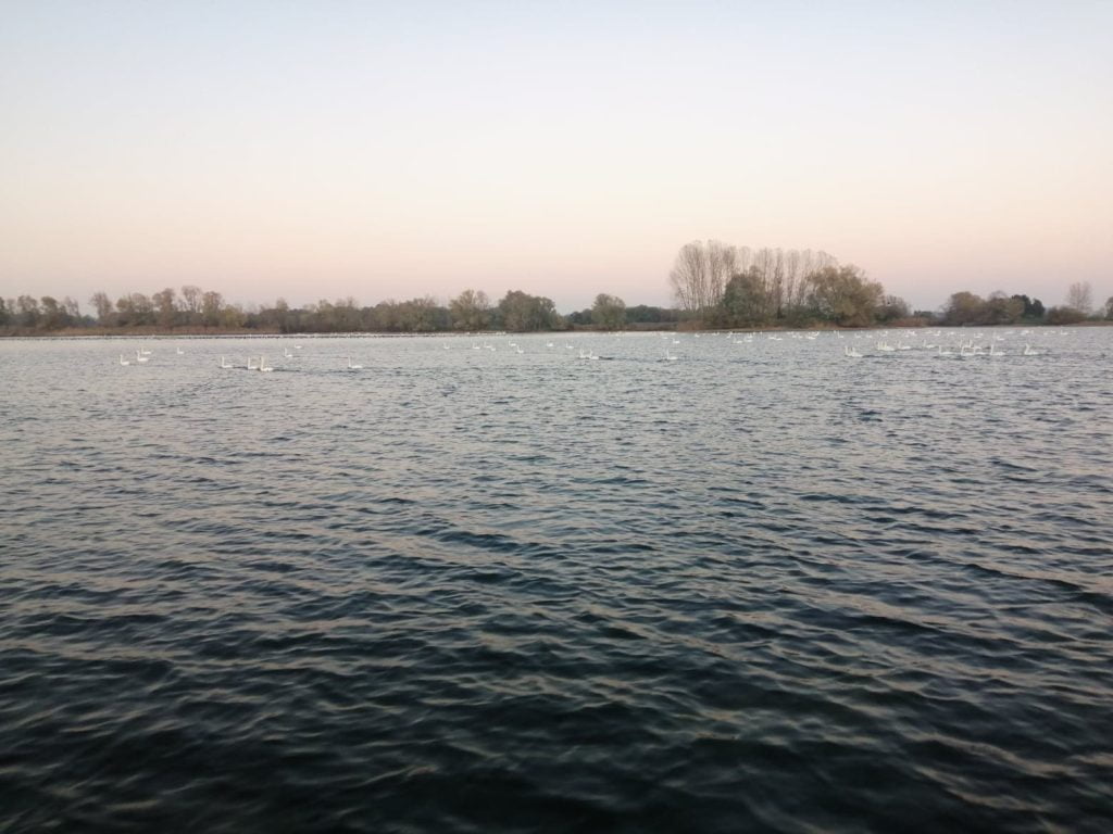 Hebergement a proximité pour la Peche des carnassiers en bateau
