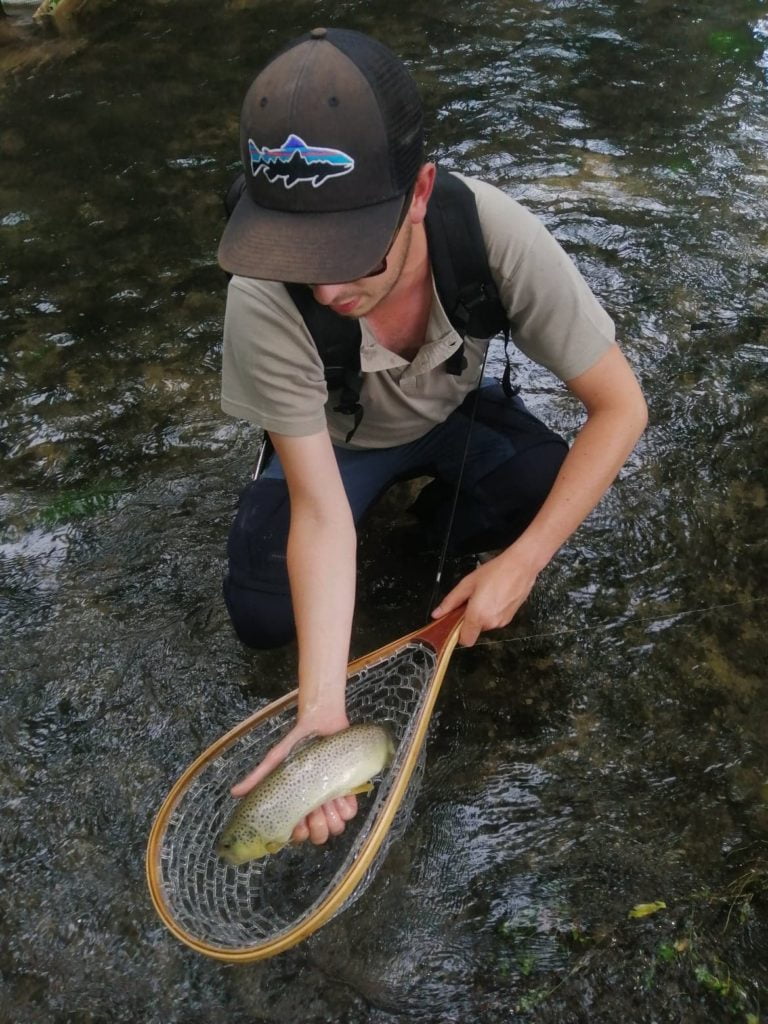 Truite prise en Seine dans l'aube lors d'une pêche au toc