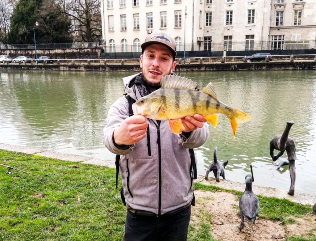 Belle perche attrapé en Street Fishing a Troyes