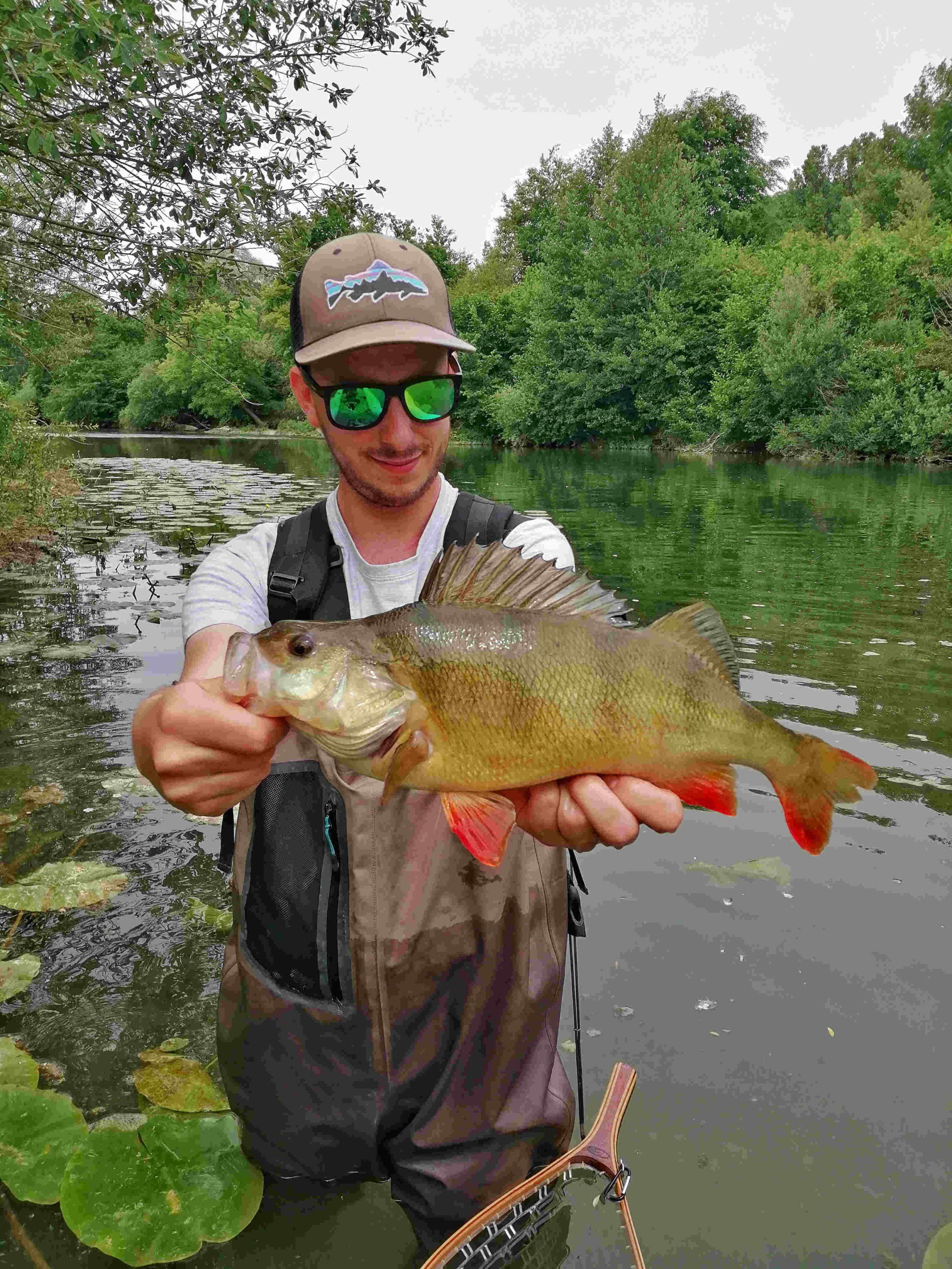 La pêche de la truite aux leurres dans l