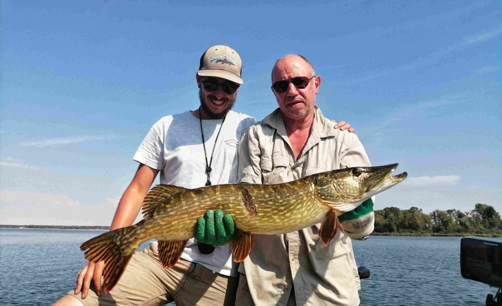 Un beau brochet pris lors d'un stage pêche des carnassiers sur les lacs de la Foret d'Orient