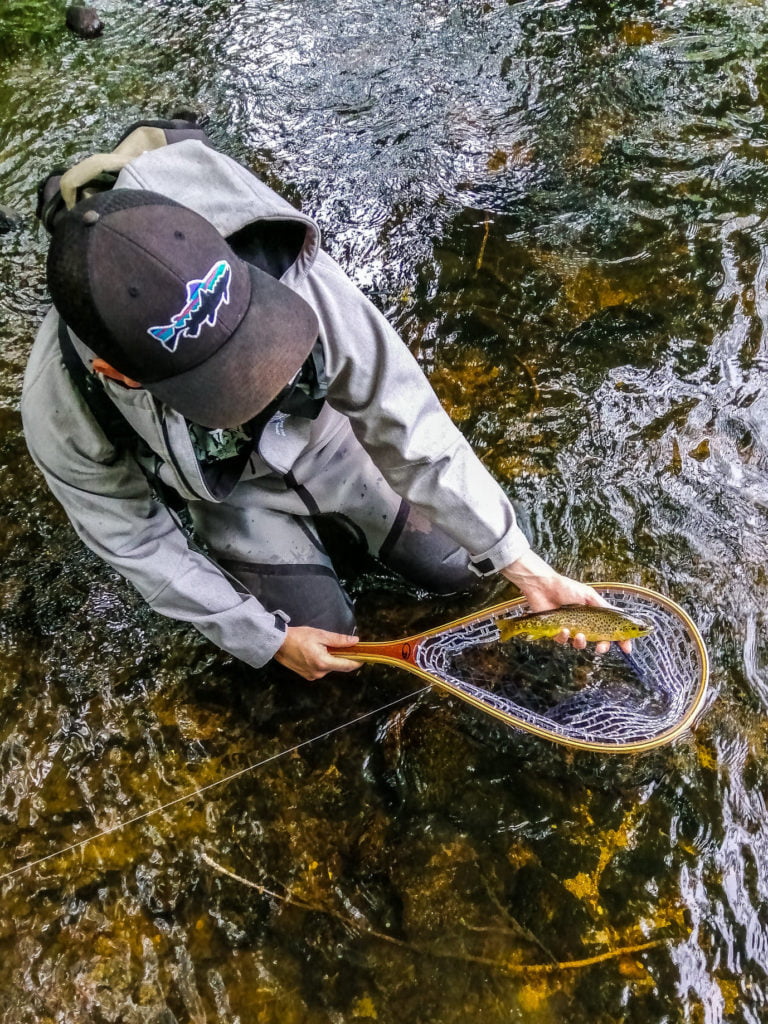 Belle truite prise dans l'Aube, des pepites a pêcher que se soit aux leurres, aux toc ou a la mouche