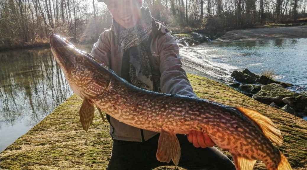 La pêche des carnassiers dans l'Aube : un département L ' aube des carnassiers