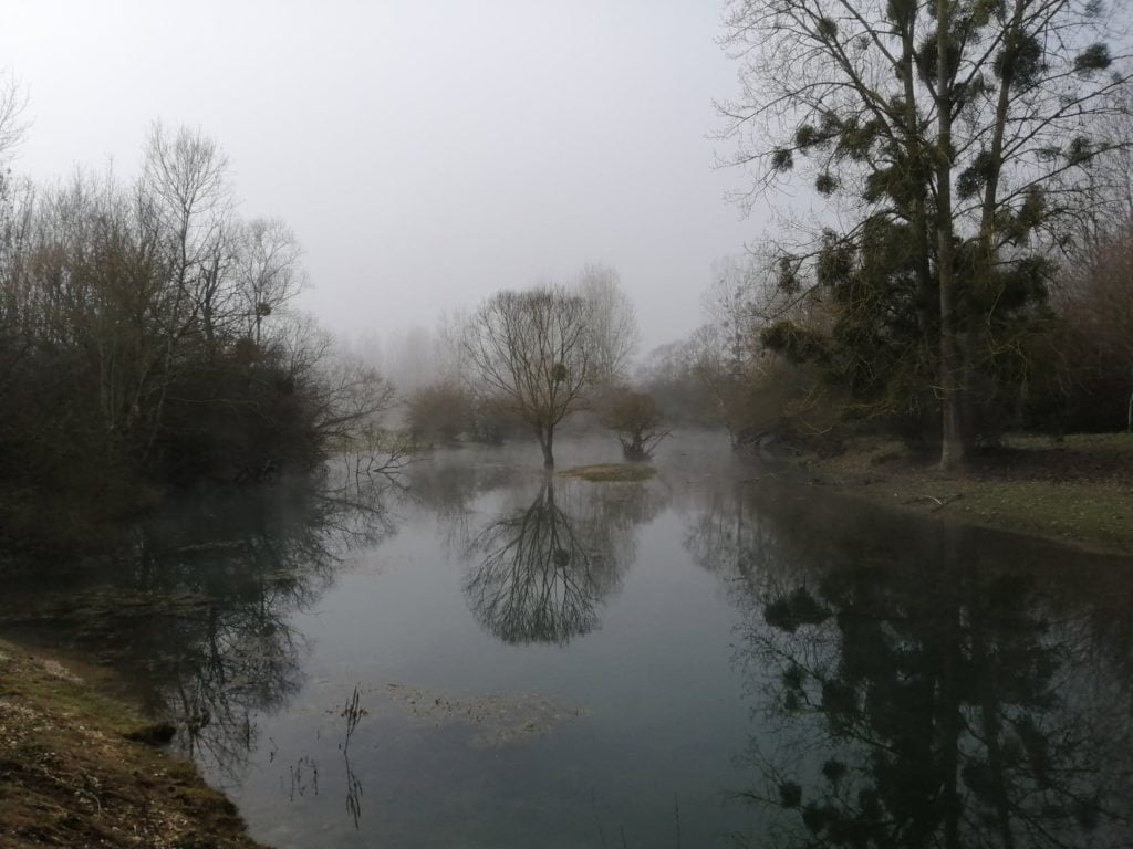 Beau spot en Seine idéal pour pecher des carnassiers.