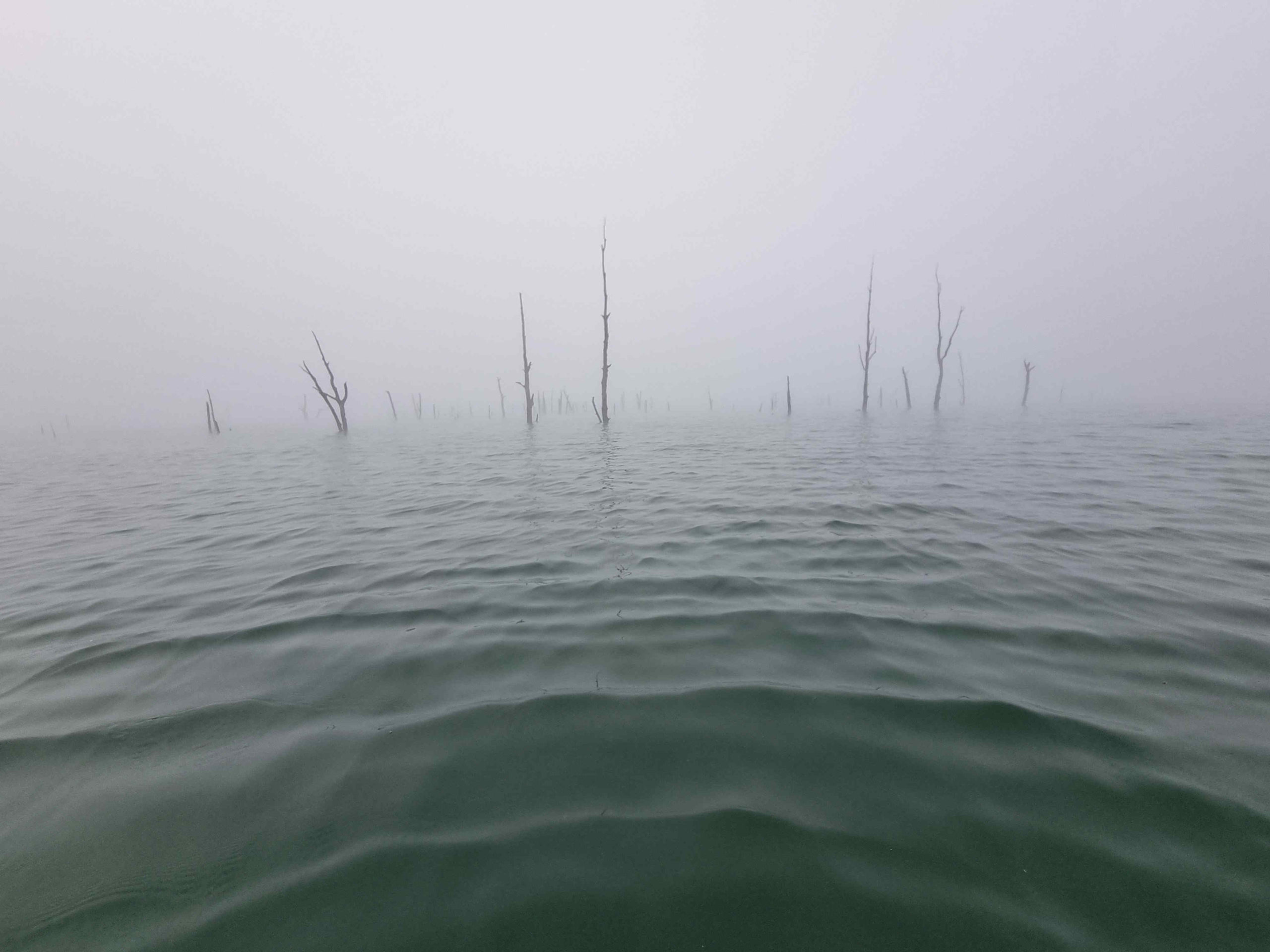 pêche lac Forêt immergé